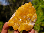 Natural Golden Limonite Quartz Crystal Clusters x 24 From Solwezi, Zambia
