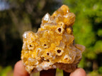 Natural Golden Limonite Quartz Crystal Clusters x 24 From Solwezi, Zambia