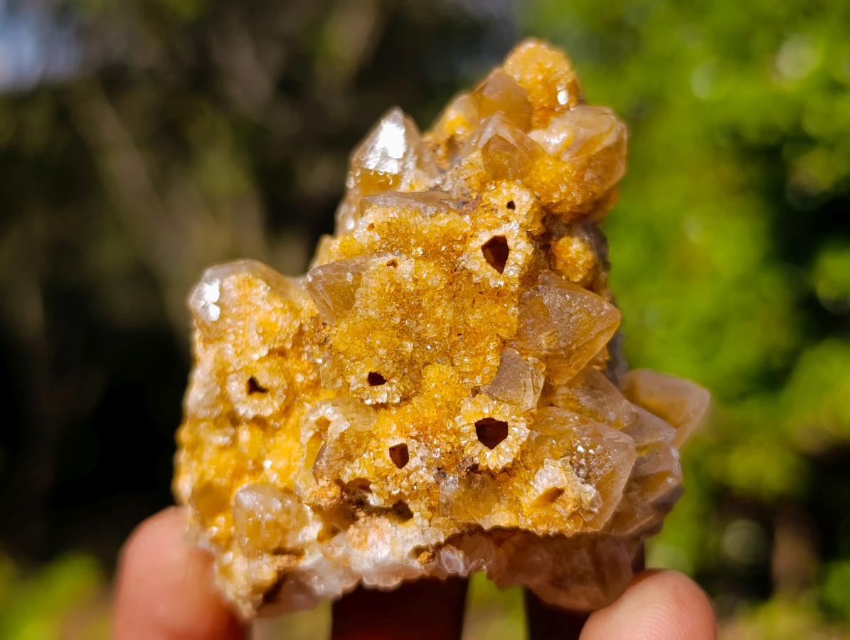 Natural Golden Limonite Quartz Crystal Clusters x 24 From Solwezi, Zambia