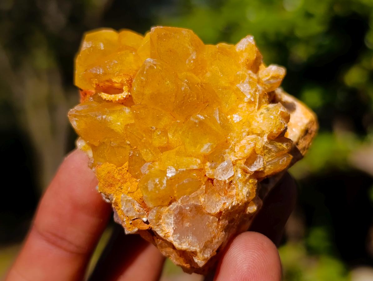 Natural Golden Limonite Quartz Crystal Clusters x 24 From Solwezi, Zambia