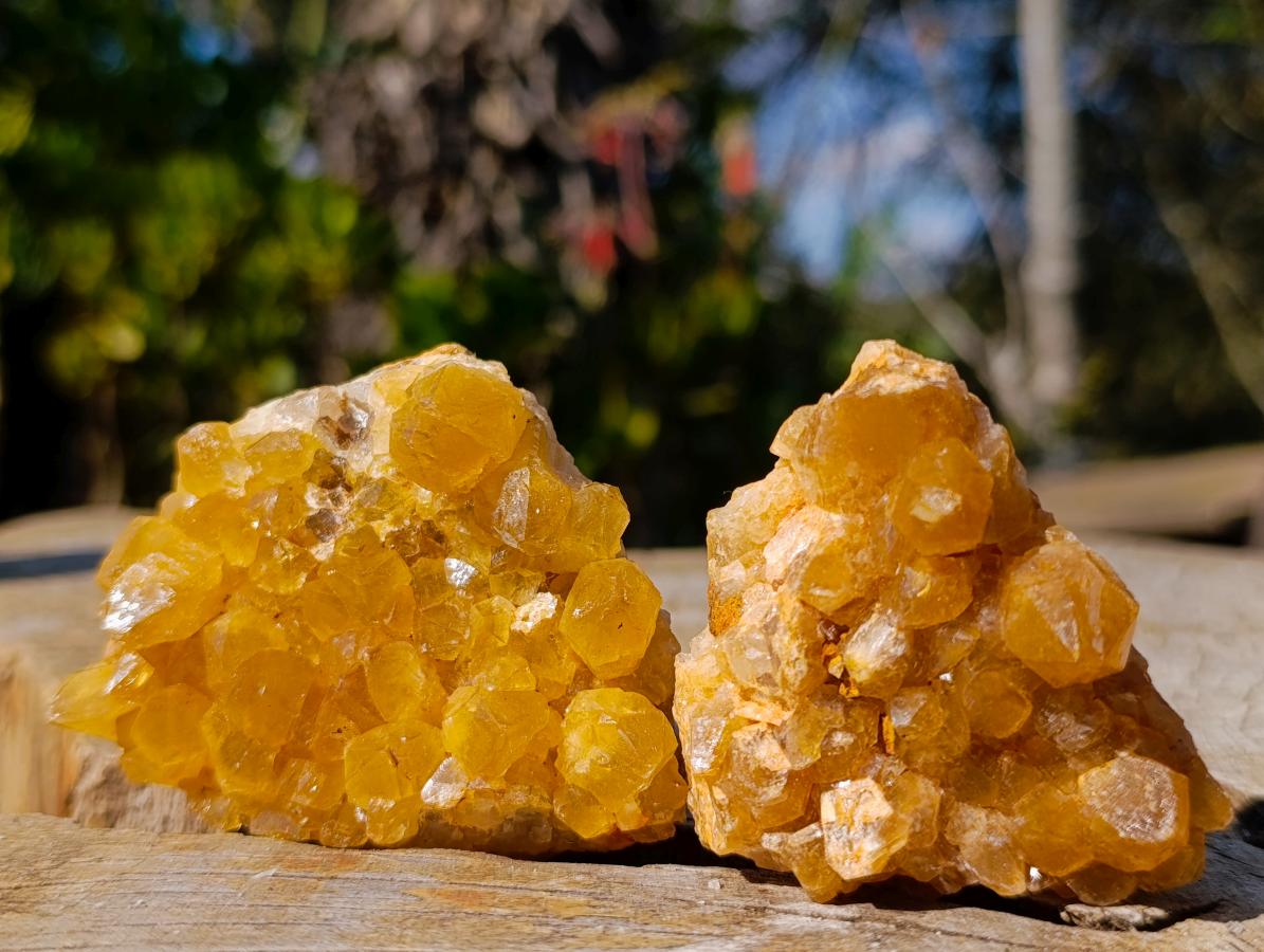 Natural Golden Limonite Quartz Crystal Clusters x 24 From Solwezi, Zambia