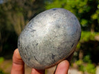 Polished Basalt Pharaoh Stone Free Forms x 12 From Iron Duke Mine, Zimbabwe - Toprock Gemstones and Minerals 