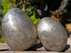Polished Basalt Pharaoh Stone Free Forms x 12 From Iron Duke Mine, Zimbabwe - Toprock Gemstones and Minerals 