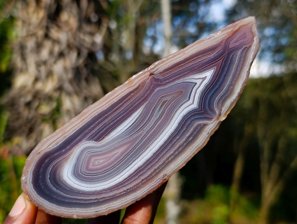 Polished One Side Red Shashe River Agate Nodules x 4 From Shashe River, Zimbabwe
