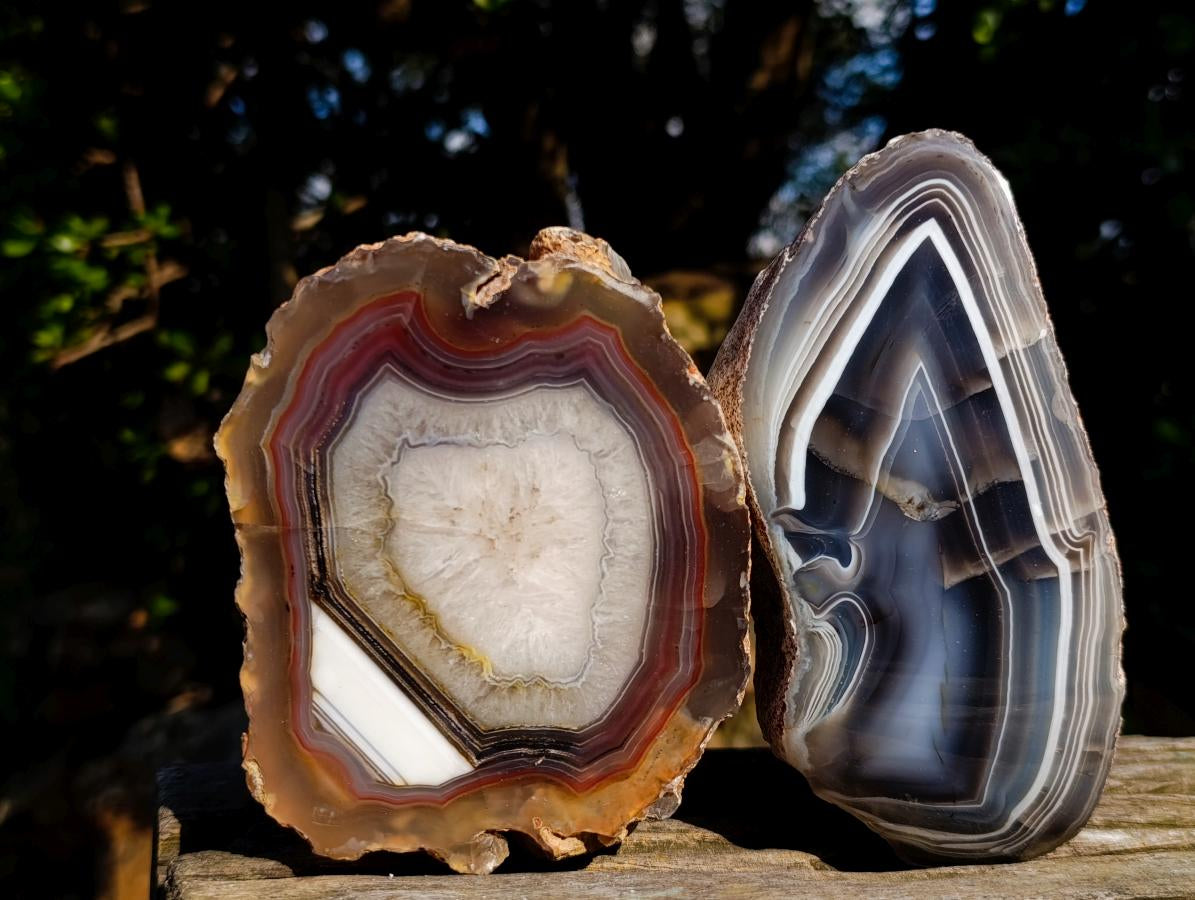 Polished One Side Red Shashe River Agate Nodules x 4 From Shashe River, Zimbabwe