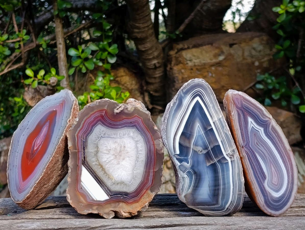 Polished One Side Red Shashe River Agate Nodules x 4 From Shashe River, Zimbabwe