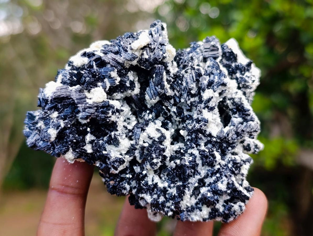 Natural Schorl Black Tourmaline Cluster Specimens with Muscovite Mica x 6 From Erongo, Namibia