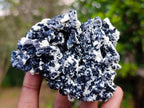 Natural Schorl Black Tourmaline Cluster Specimens with Muscovite Mica x 6 From Erongo, Namibia