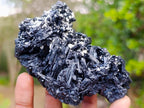 Natural Schorl Black Tourmaline Cluster Specimens with Muscovite Mica x 6 From Erongo, Namibia