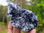 Natural Schorl Black Tourmaline Cluster Specimens with Muscovite Mica x 6 From Erongo, Namibia