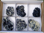 Natural Schorl Black Tourmaline Cluster Specimens with Muscovite Mica x 6 From Erongo, Namibia
