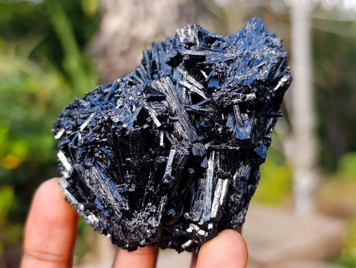 Natural Schorl Black Tourmaline Cluster Specimens with Muscovite Mica x 6 From Erongo, Namibia