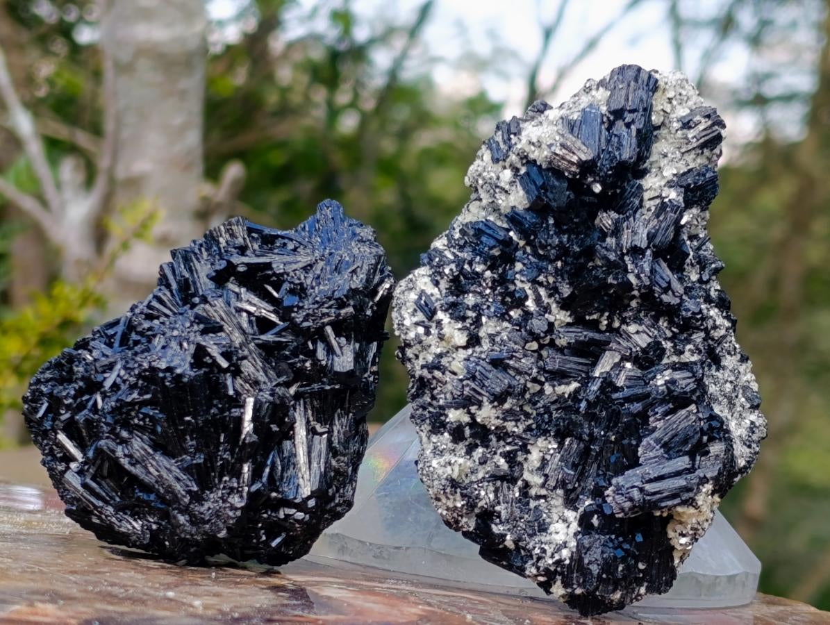 Natural Schorl Black Tourmaline Cluster Specimens with Muscovite Mica x 6 From Erongo, Namibia