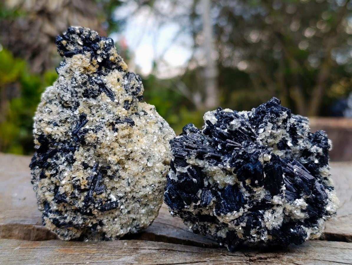 Natural Schorl Black Tourmaline Cluster Specimens with Muscovite Mica x 6 From Erongo, Namibia