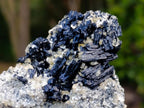 Natural Schorl Black Tourmaline Cluster Specimens with Muscovite Mica x 6 From Erongo, Namibia