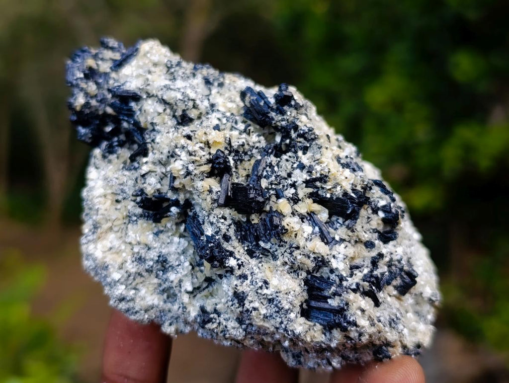 Natural Schorl Black Tourmaline Cluster Specimens with Muscovite Mica x 6 From Erongo, Namibia