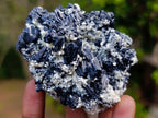 Natural Schorl Black Tourmaline Cluster Specimens with Muscovite Mica x 6 From Erongo, Namibia