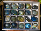 Polished Labradorite Palm Stones x 20 From Madagascar