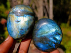 Polished Labradorite Palm Stones x 20 From Madagascar