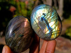 Polished Labradorite Palm Stones x 20 From Madagascar