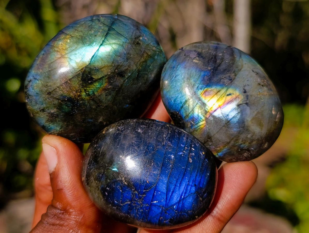 Polished Labradorite Palm Stones x 20 From Madagascar