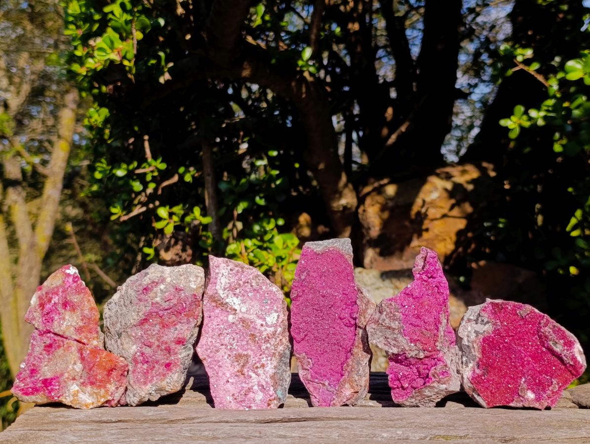 Natural Salrose Specimens on Dolomite Matrix x 6 From Kakanda, Congo
