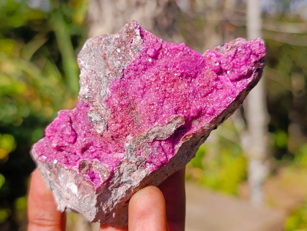 Natural Salrose Specimens on Dolomite Matrix x 6 From Kakanda, Congo
