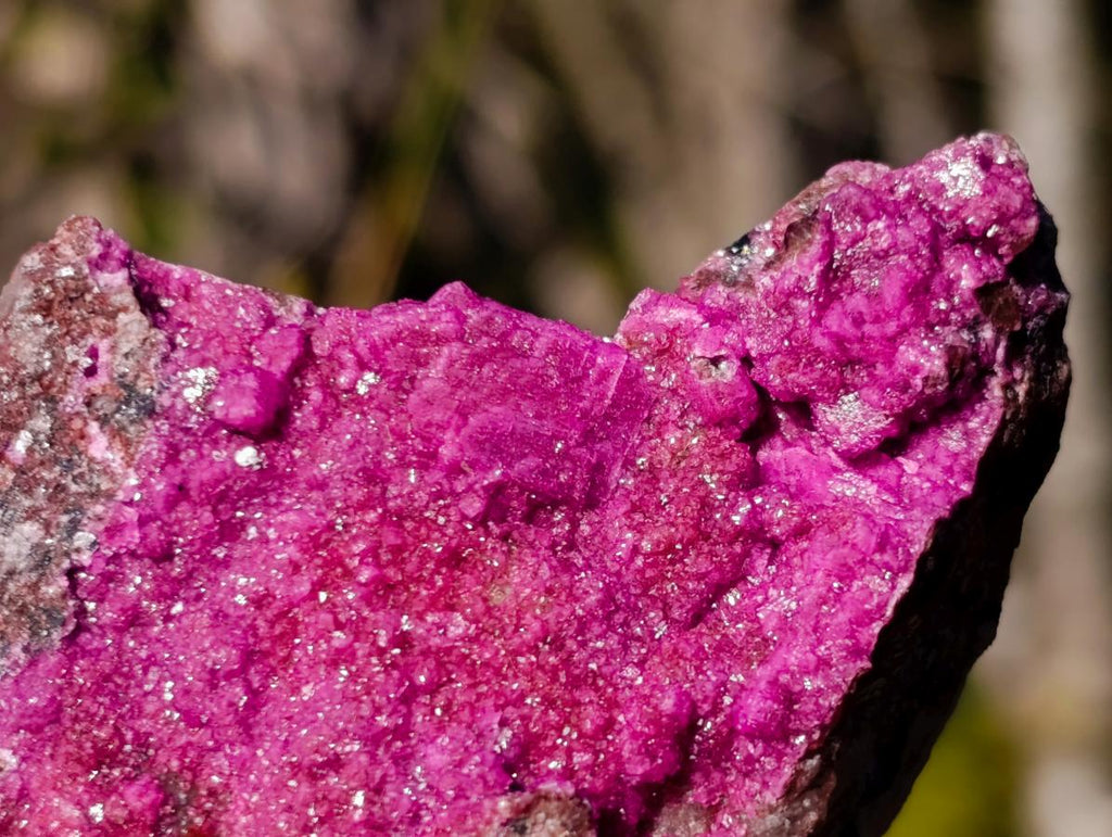 Natural Salrose Specimens on Dolomite Matrix x 6 From Kakanda, Congo