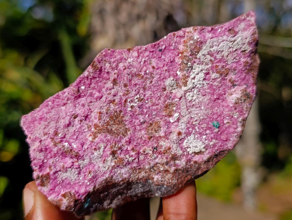 Natural Salrose Specimens on Dolomite Matrix x 6 From Kakanda, Congo