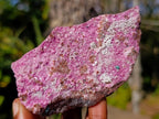 Natural Salrose Specimens on Dolomite Matrix x 6 From Kakanda, Congo