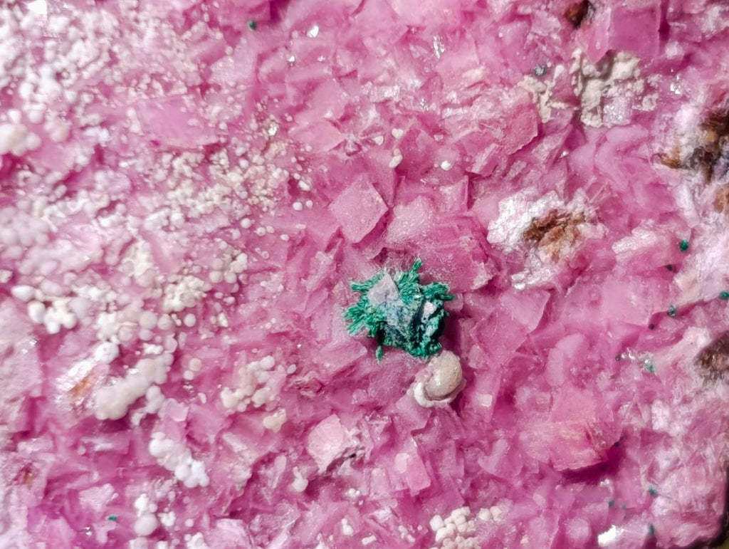 Natural Salrose Specimens on Dolomite Matrix x 6 From Kakanda, Congo