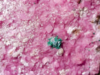 Natural Salrose Specimens on Dolomite Matrix x 6 From Kakanda, Congo