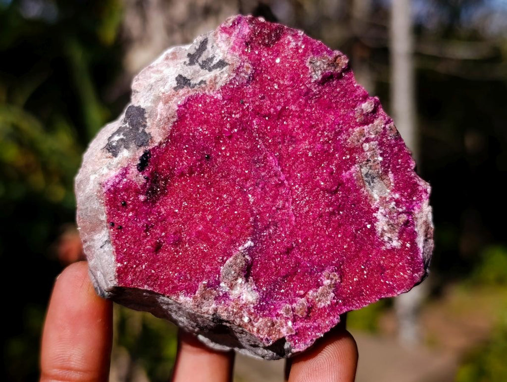 Natural Salrose Specimens on Dolomite Matrix x 6 From Kakanda, Congo