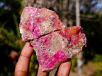 Natural Salrose Specimens on Dolomite Matrix x 6 From Kakanda, Congo