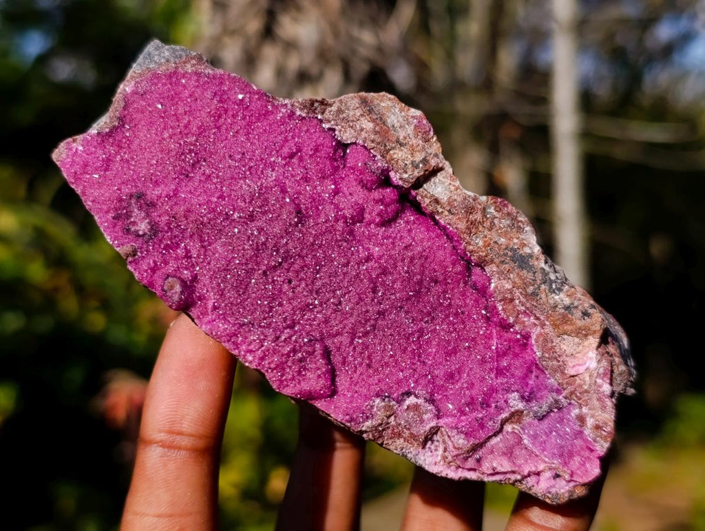 Natural Salrose Specimens on Dolomite Matrix x 6 From Kakanda, Congo