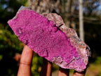 Natural Salrose Specimens on Dolomite Matrix x 6 From Kakanda, Congo