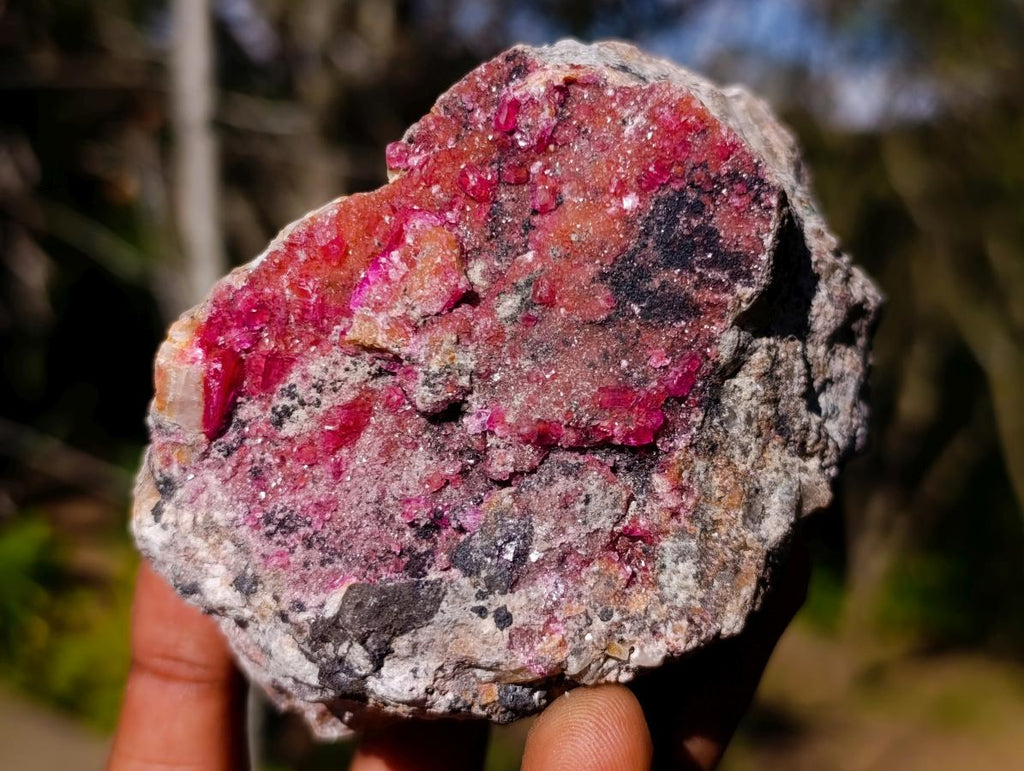 Natural Salrose Specimens on Dolomite Matrix x 6 From Kakanda, Congo