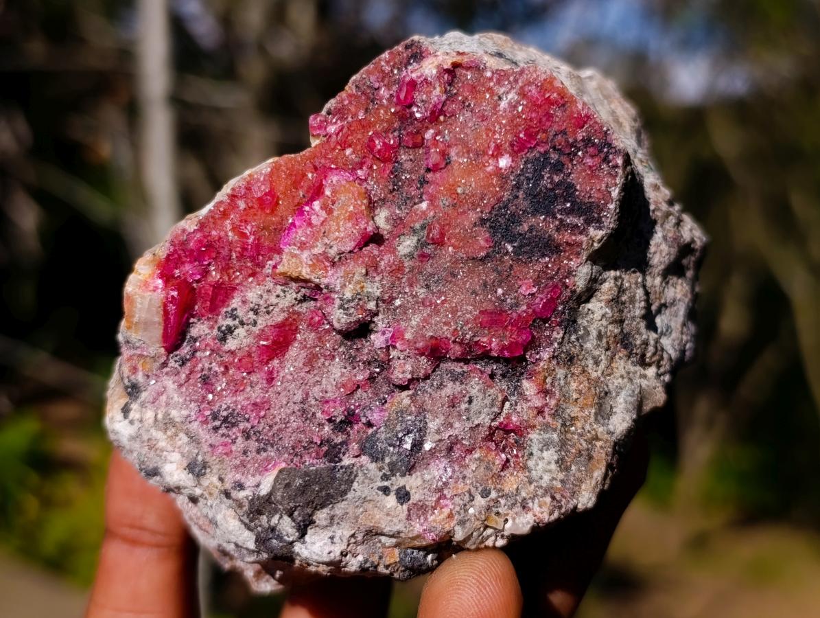 Natural Salrose Specimens on Dolomite Matrix x 6 From Kakanda, Congo