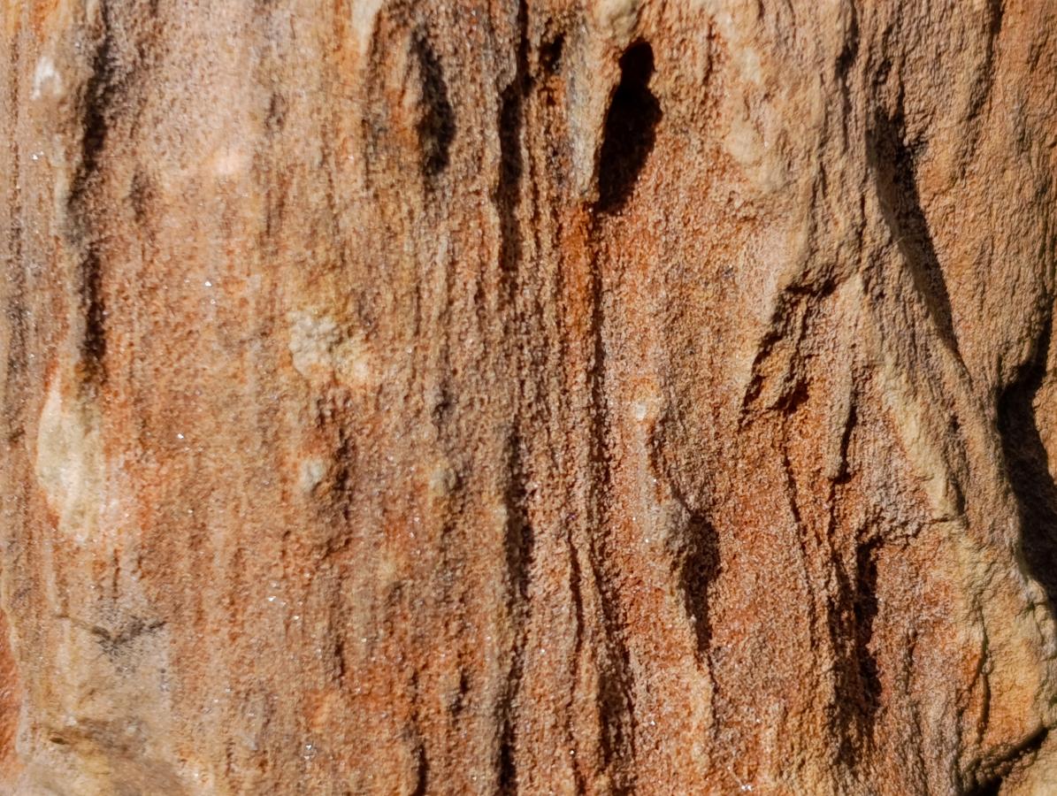 Polished On One Side Dadoxylon Petrified Wood Tree Branches x 4 From Gokwe, Zimbabwe