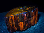 Polished On One Side Dadoxylon Petrified Wood Tree Branches x 4 From Gokwe, Zimbabwe
