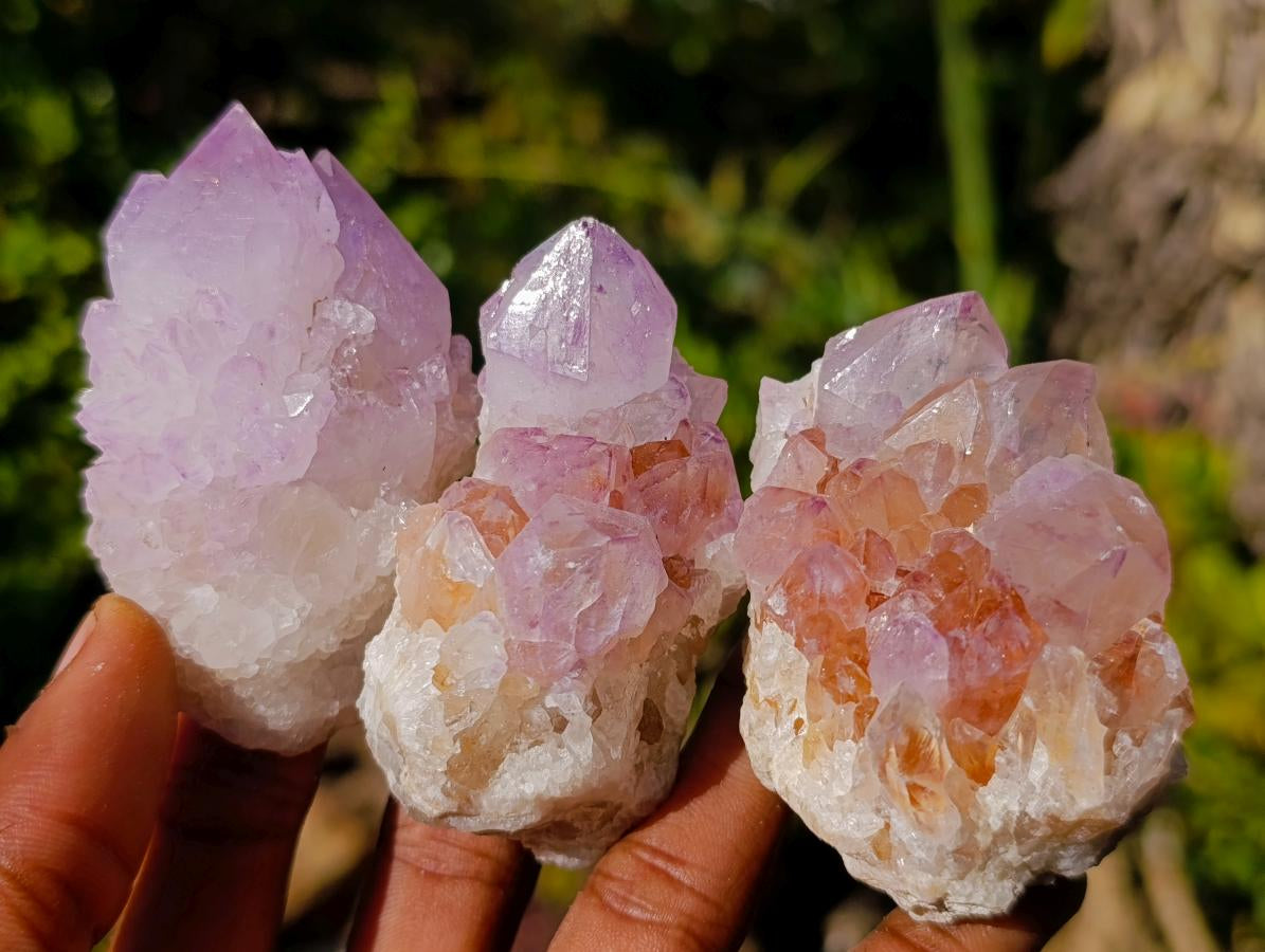 Natural Spirit Amethyst Clusters x 12 From Boekenhouthoek, South Africa