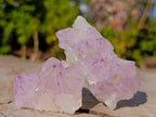 Natural Spirit Amethyst Clusters x 12 From Boekenhouthoek, South Africa