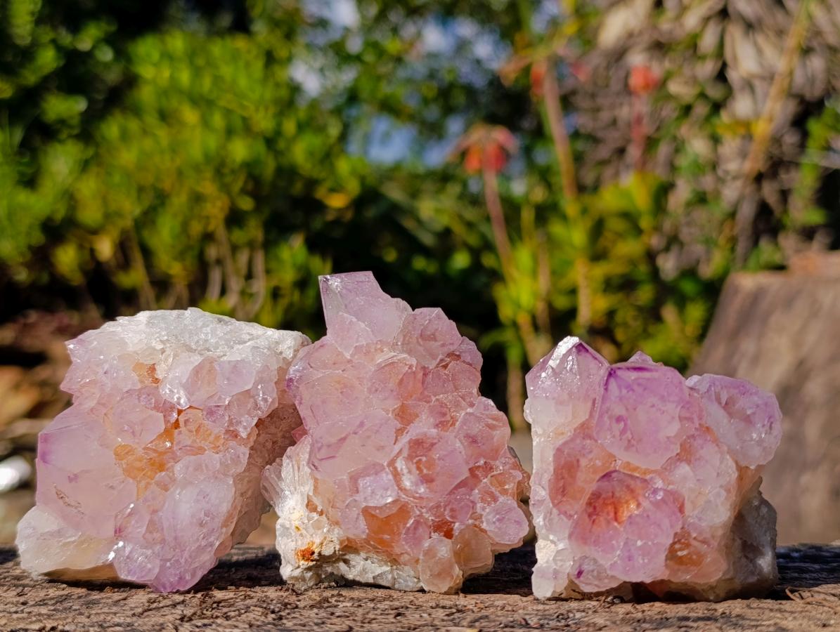 Natural Spirit Amethyst Clusters x 12 From Boekenhouthoek, South Africa