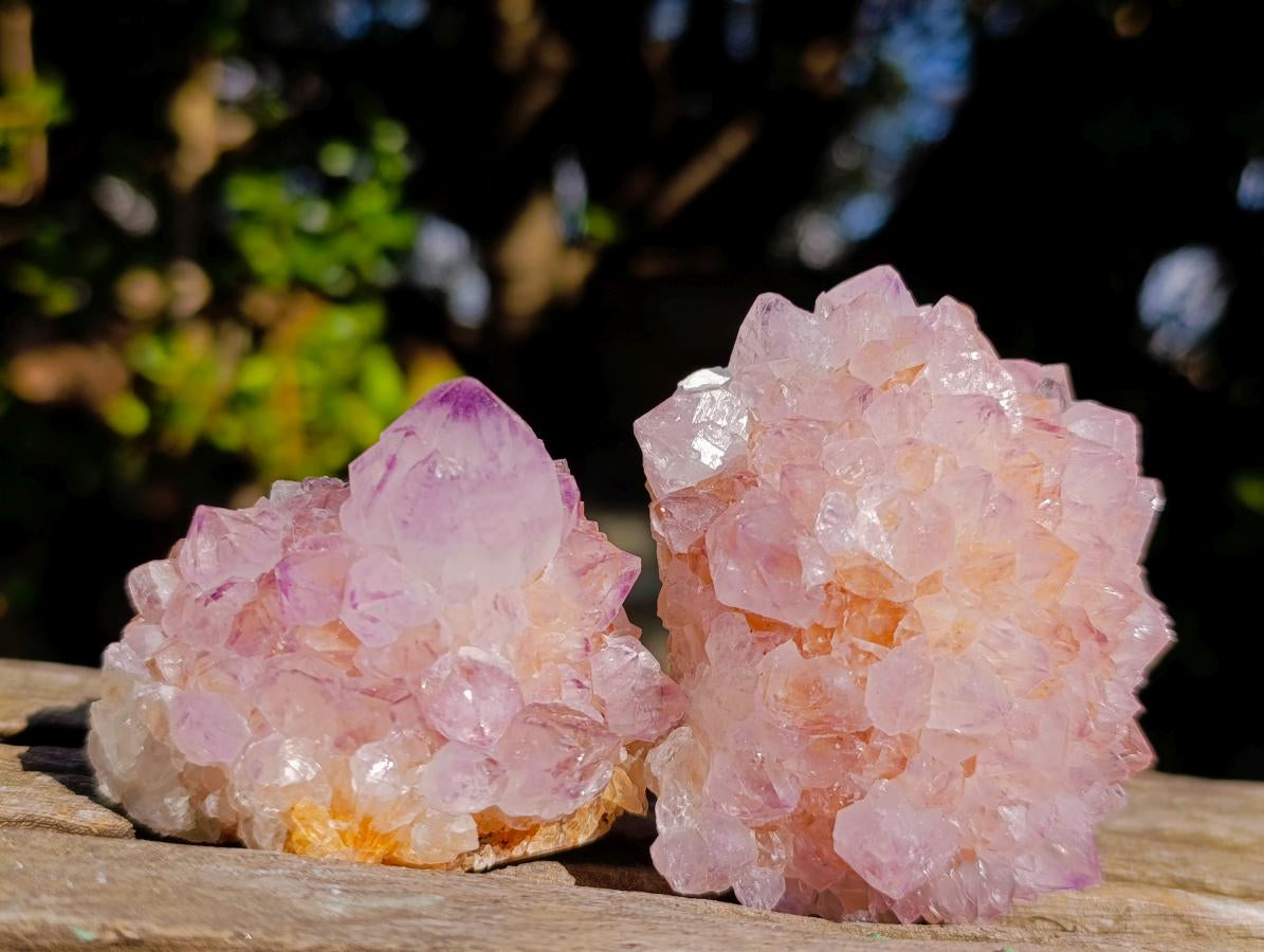 Natural Spirit Amethyst Clusters x 12 From Boekenhouthoek, South Africa