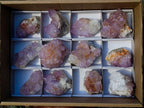 Natural Spirit Amethyst Clusters x 12 From Boekenhouthoek, South Africa