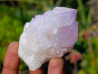 Natural Spirit Amethyst Clusters x 12 From Boekenhouthoek, South Africa