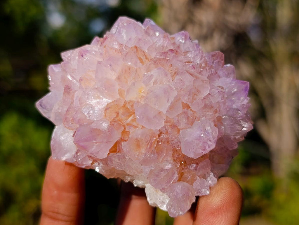 Natural Spirit Amethyst Clusters x 12 From Boekenhouthoek, South Africa