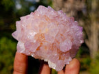 Natural Spirit Amethyst Clusters x 12 From Boekenhouthoek, South Africa