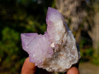 Natural Spirit Amethyst Clusters x 12 From Boekenhouthoek, South Africa
