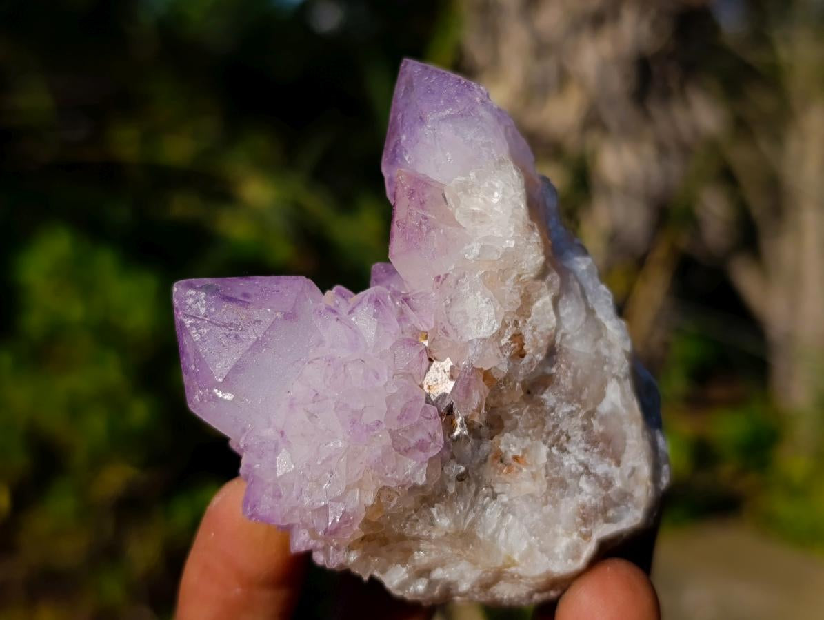 Natural Spirit Amethyst Clusters x 12 From Boekenhouthoek, South Africa